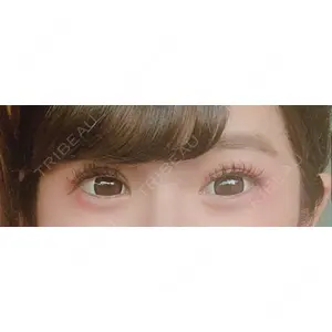 口コミ