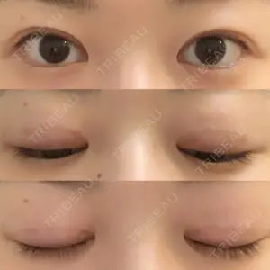 口コミ