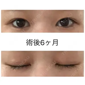 口コミ