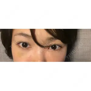 口コミ