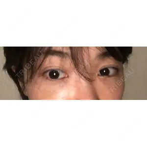 口コミ