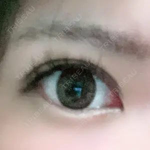 口コミ