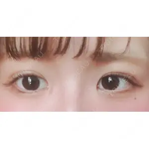 口コミ