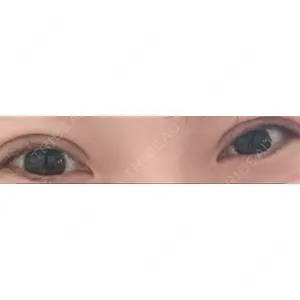 口コミ