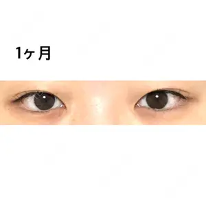 口コミ