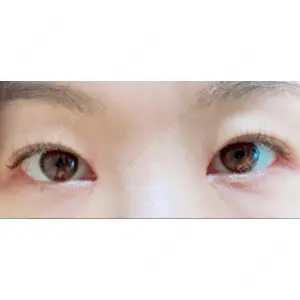口コミ