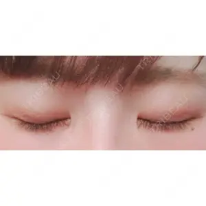 口コミ