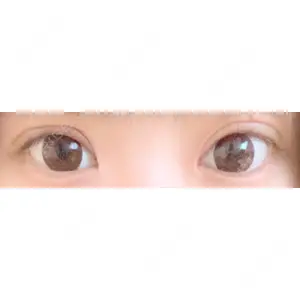 口コミ