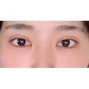 口コミ