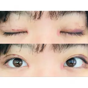 口コミ