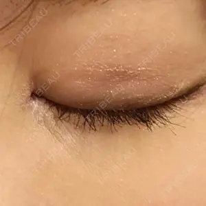 口コミ
