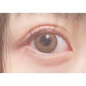 口コミ