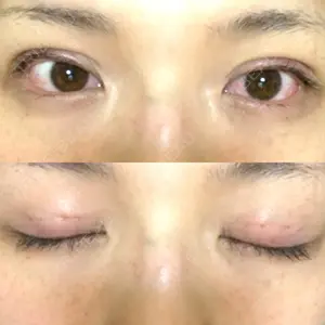 口コミ