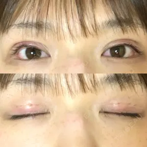口コミ