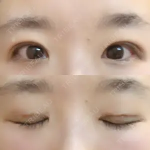 口コミ
