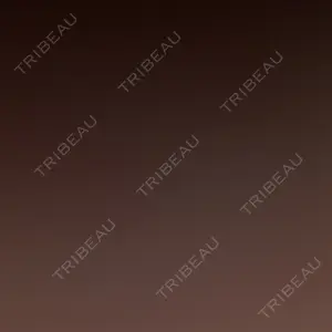 リッツ美容外科 大阪院口コミ