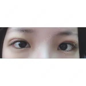 口コミ