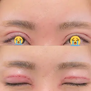 口コミ