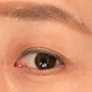 口コミ