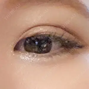 口コミ