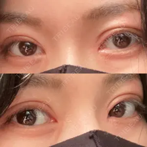 口コミ