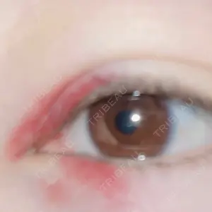 口コミ