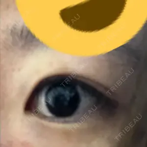 口コミ