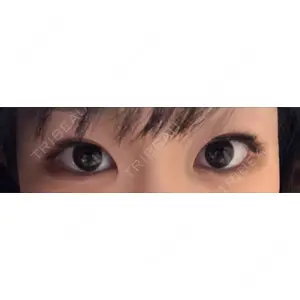 口コミ