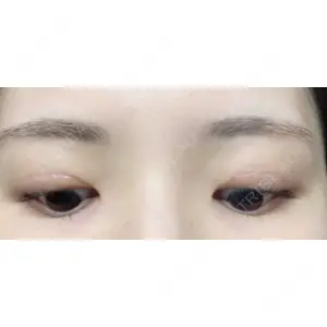 口コミ