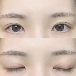 口コミ