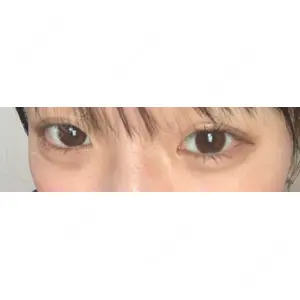 口コミ