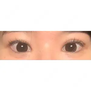 口コミ