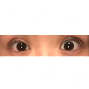 口コミ