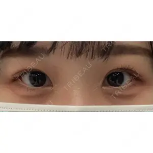 口コミ