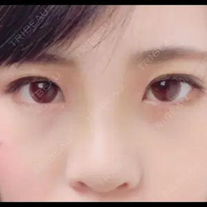 口コミ