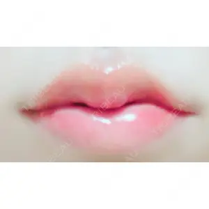口コミ