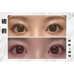 口コミ