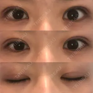 口コミ