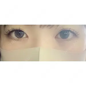 口コミ
