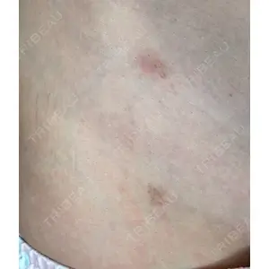 口コミ