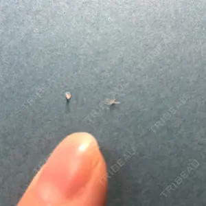 みずほクリニックの