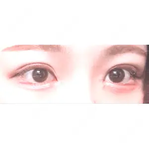 口コミ