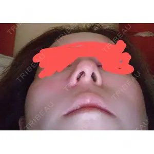 口コミ