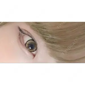 口コミ