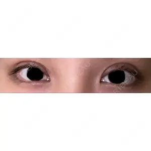 口コミ
