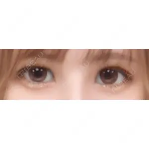 口コミ