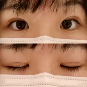口コミ
