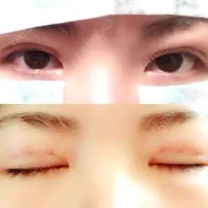 口コミ