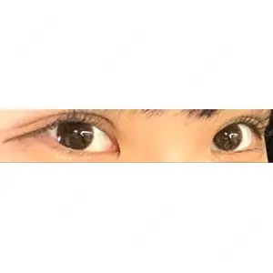 口コミ