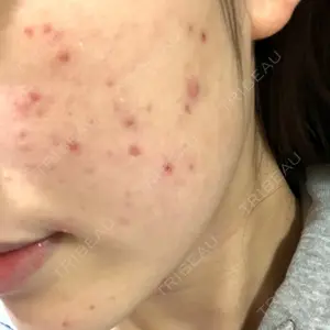 口コミ